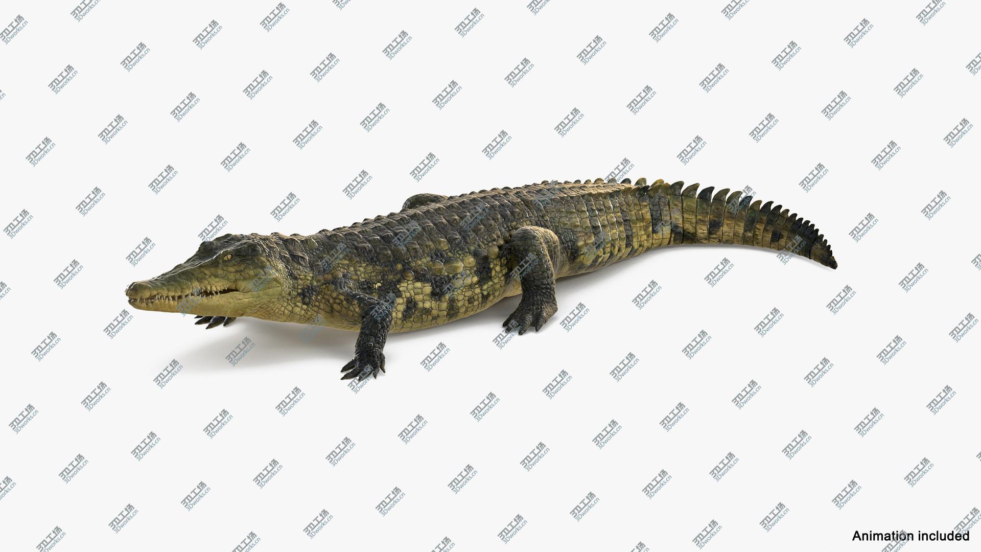 images/goods_img/2021040231/Animated Crocodile Eating Rigged model/3.jpg